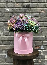 Цветочная композиция из Гипсофила и Розы в шляпной коробке в село Овощи