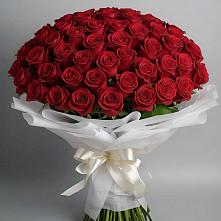 Букет 101 Красная роза Блэк Мэджик #REPLACE_PRED# село Овощи