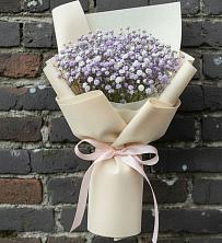 Букет цветов из:  Гипсофила в село Овощи