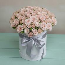 Цветочная композиция из Розы в шляпной коробке #REPLACE_PRED# село Овощи