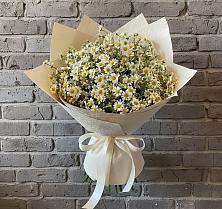 Букет цветов из:  Ромашки #REPLACE_PRED# село Овощи