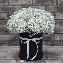 Цветочная композиция из Гипсофила в шляпной коробке #REPLACE_PRED# село Овощи