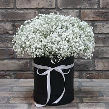 Цветочная композиция из Гипсофила в шляпной коробке в село Овощи