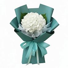 Букет цветов из:  Гортензия #REPLACE_PRED# село Овощи